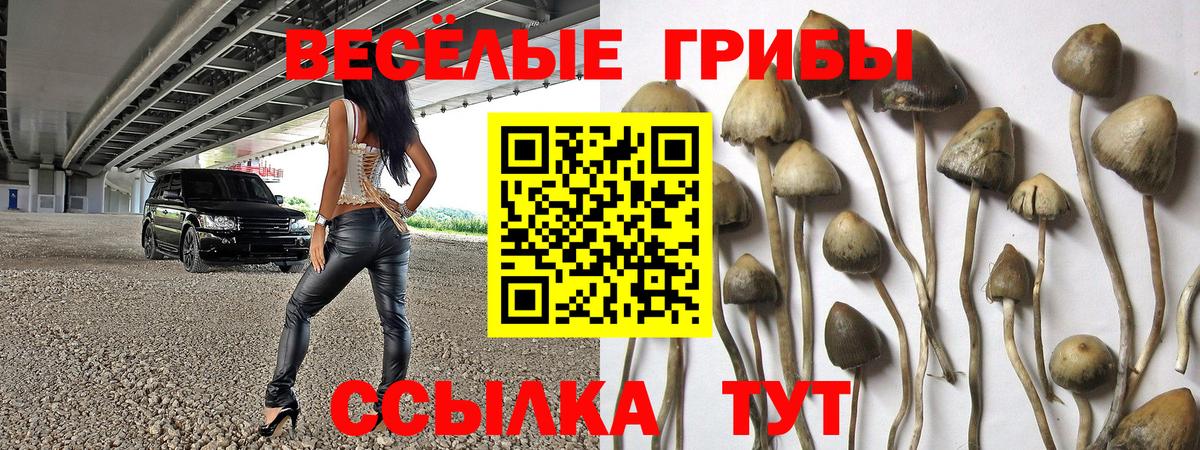 Галлюциногенные грибы мухоморы  Галлюциногенные грибы Psilocybe  Вязники  Вход с VPN 